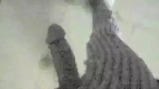 فيديو سيكس نيك أجنبي يرضع صدر كبير
